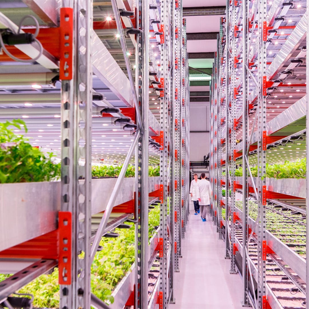 How to build a successful vertical farm