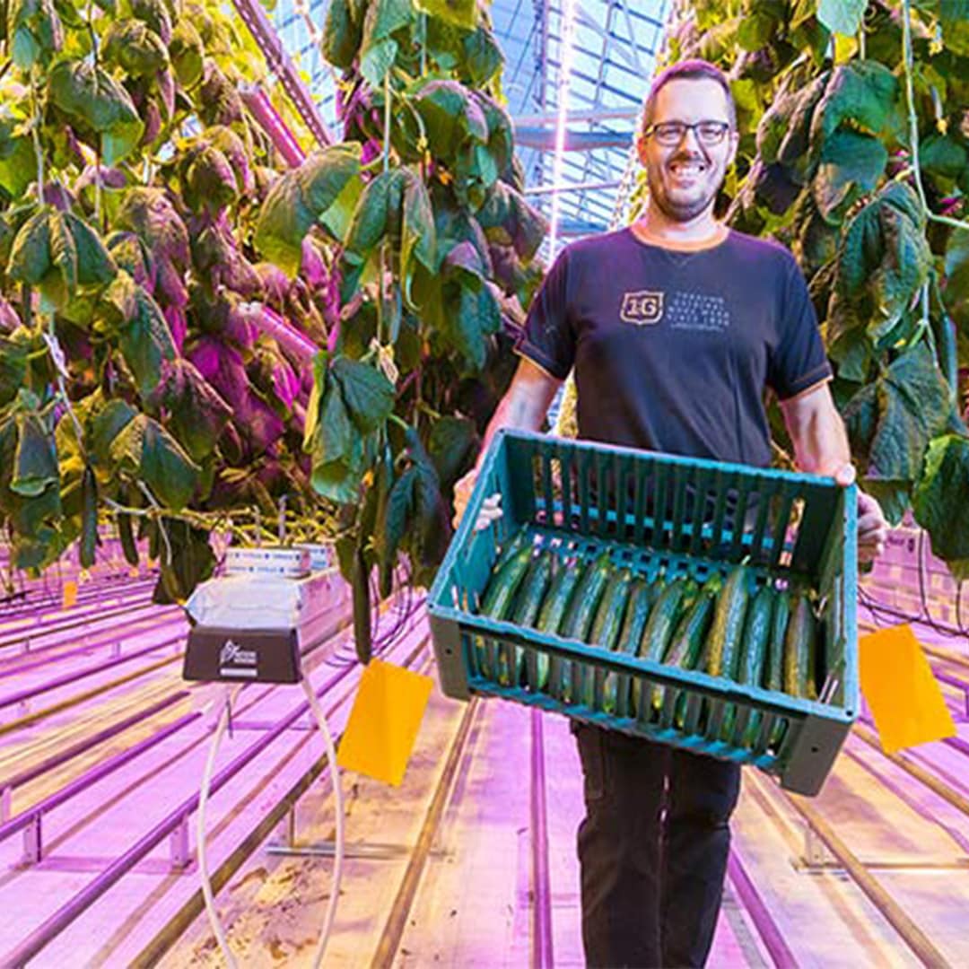 How does light affect plants and people differently?