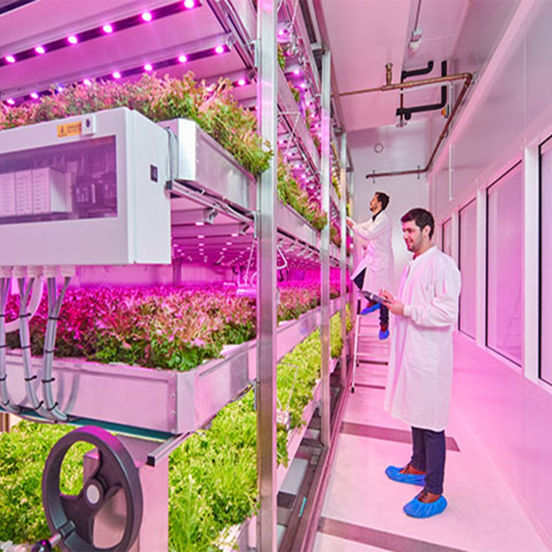 The role of sensors and data collection in a successful vertical farm